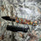 8.75" SNAKE EYE TACTICAL ORANGE CAMO SPRING ASSIST KNIFE WITH GLASS BREAKER