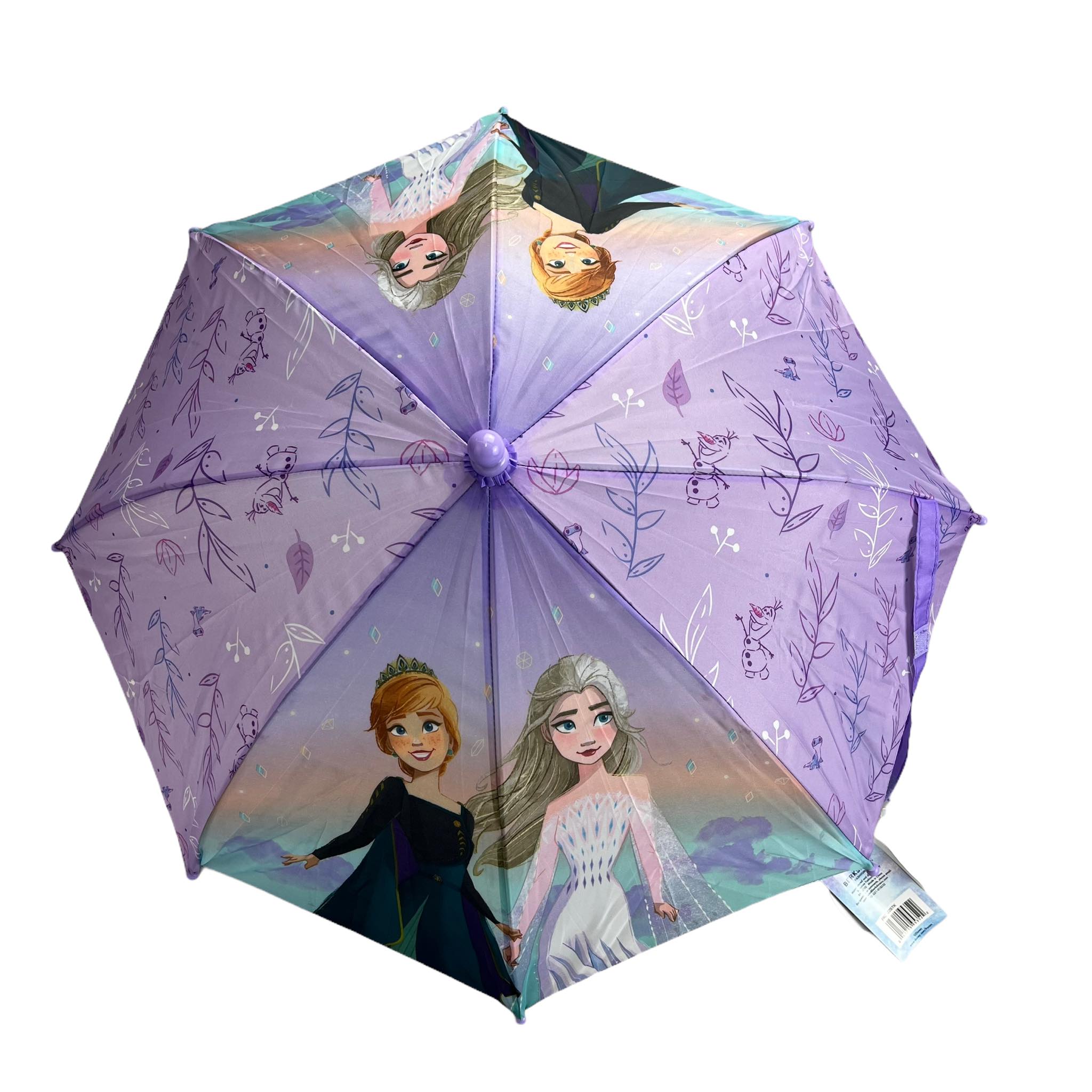 Frozen Umbrella