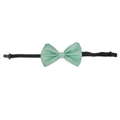 Mint Green Teal Bow Tie