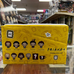 Warner Bros: Friends 3-D Foam Figural Bag Clip Blind Bag Series 3