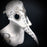 Men's Masks: Plague Doctor Masks - Raven Bird Mask White Masquerade Mask Head Harness Backing Silver Details