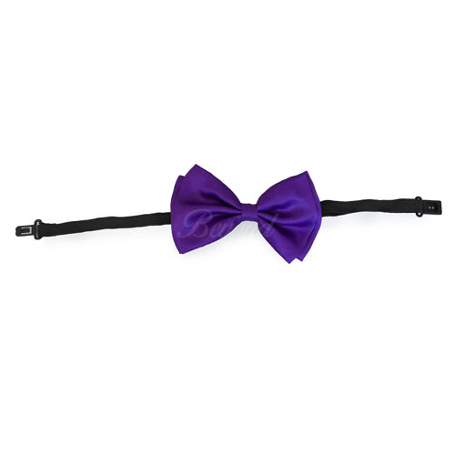 Royal Purple Matching Set Suspender and Bow Tie