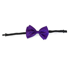 Royal Purple Matching Set Suspender and Bow Tie