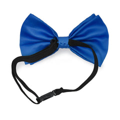 Light Blue Matching Set Suspender and Bow Tie