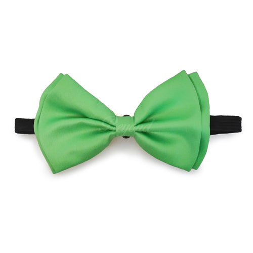Light Green Matching Set Suspender and Bow Tie