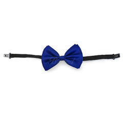 Royal Blue Bow Tie