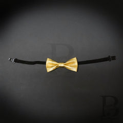 Kids Toddler Soft Metallic Gold Matching Set Suspender and Bow Tie